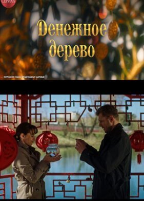 Денежное дерево